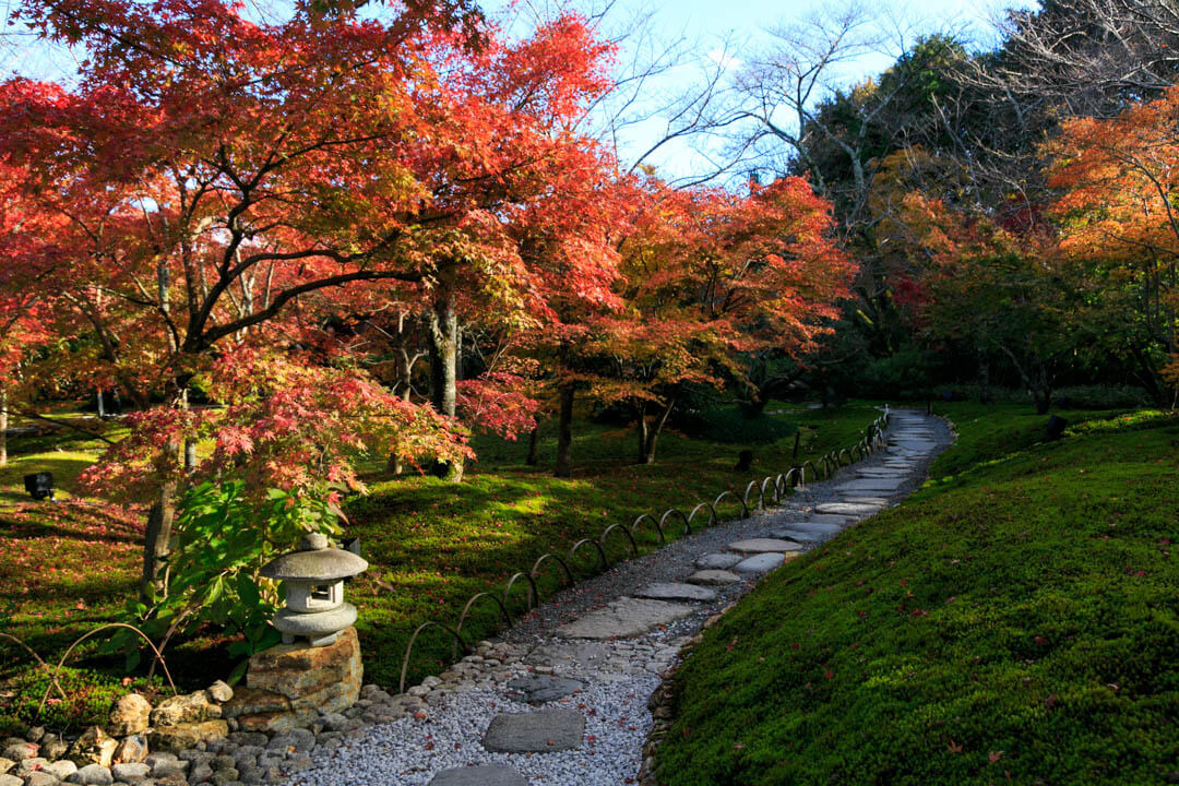 紅葉がいろづく将軍塚青龍殿の庭園の写真