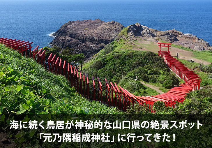 海に続く鳥居が神秘的な山口県の絶景スポット「元乃隅稲成神社」に行ってきた！