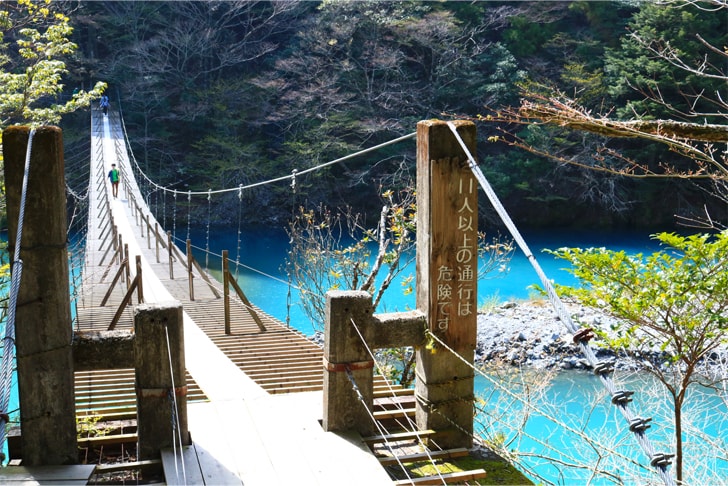 チンダル現象でエメラルドグリーンに輝く寸又峡の夢の吊橋の写真