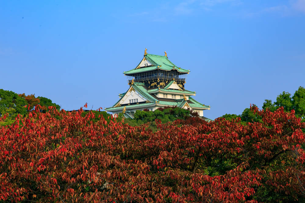 玉造口から撮影した大阪城と紅葉の写真