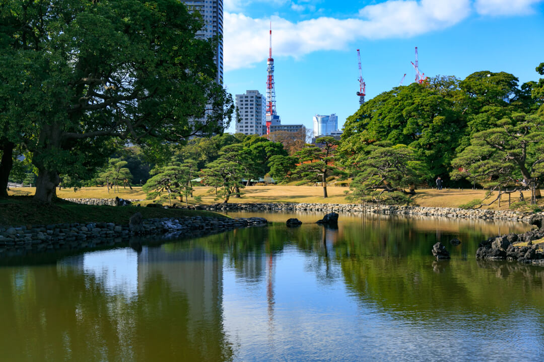 浜離宮庭園から撮影した東京タワーの写真