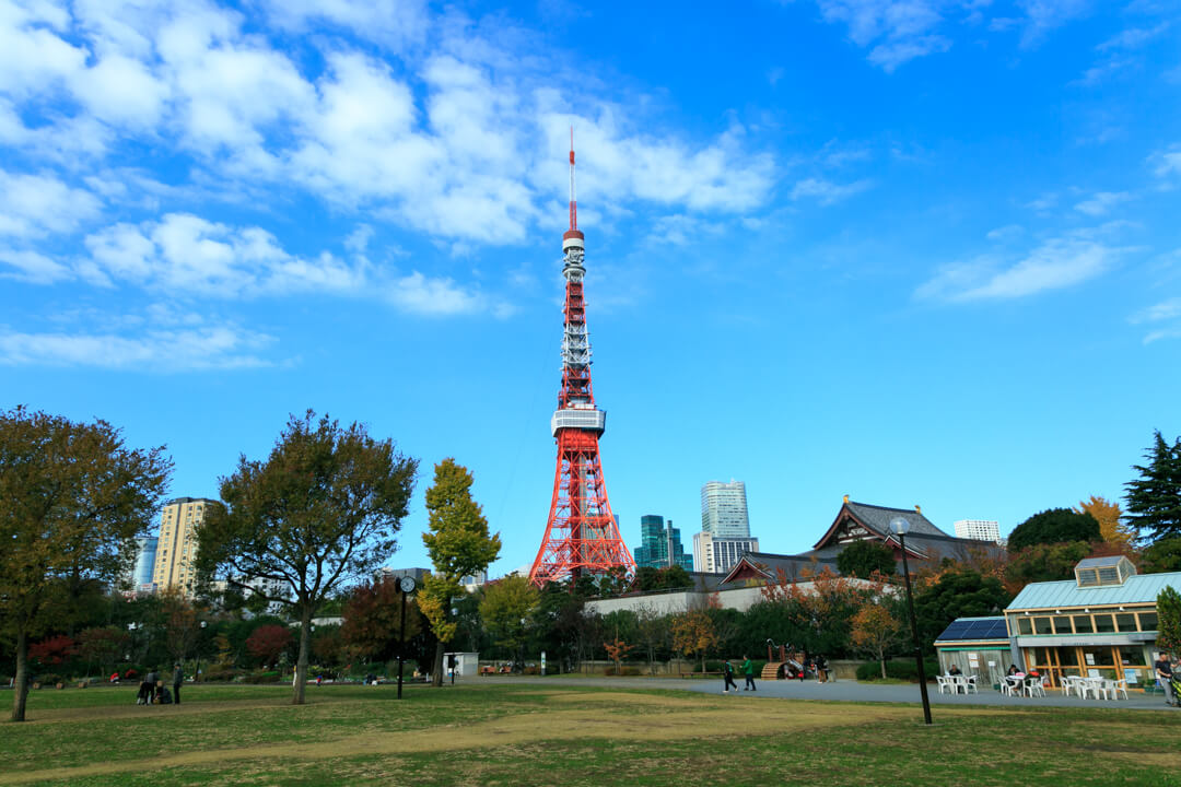 芝公園1号地から撮影した東京タワーの写真
