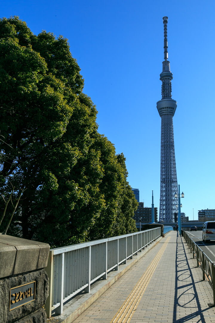 言問橋西詰から撮影した東京スカイツリーの写真