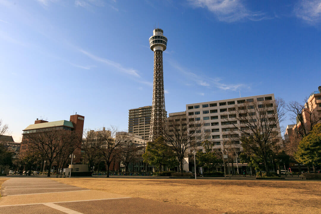 横浜マリンタワーを山下公園から撮影した写真