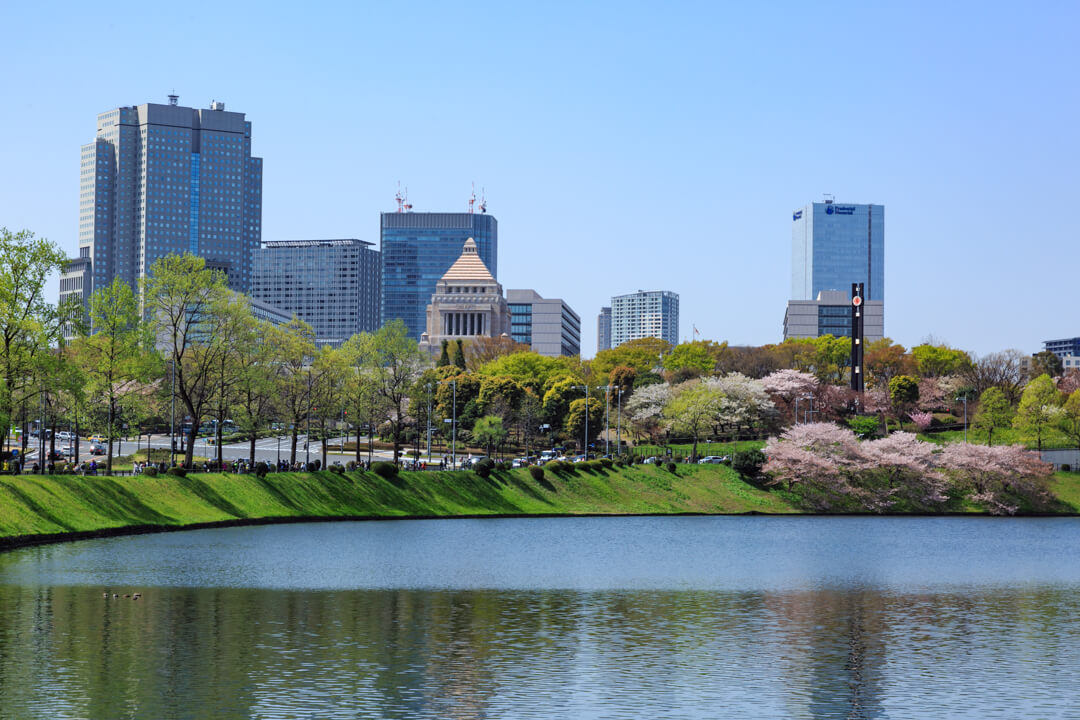 桜と国会議事堂の写真