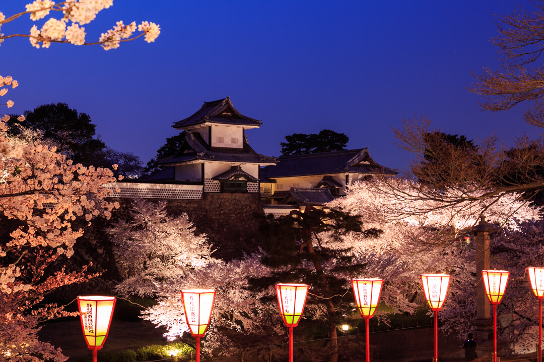 金沢城と夜桜の写真