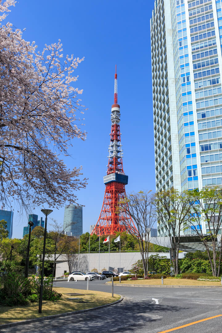 プリンスパークタワー東京と桜で東京タワーを挟んだ構図の写真