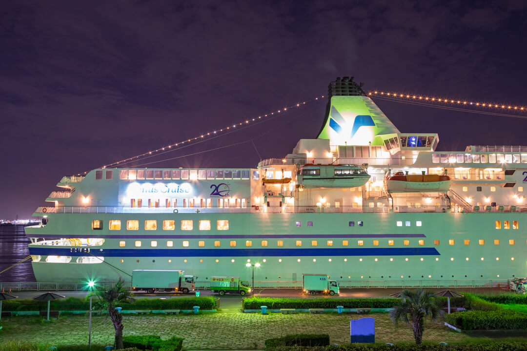ガーデンふ頭臨港緑園から撮影した豪華客船の写真