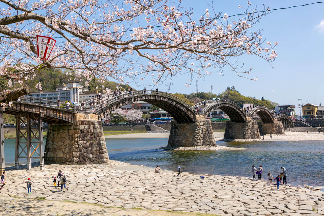 桜満開の錦帯橋
