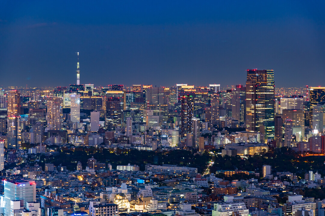 渋谷スクランブルスクエア展望台・渋谷スカイから撮影するライトアップされたスカイツリー