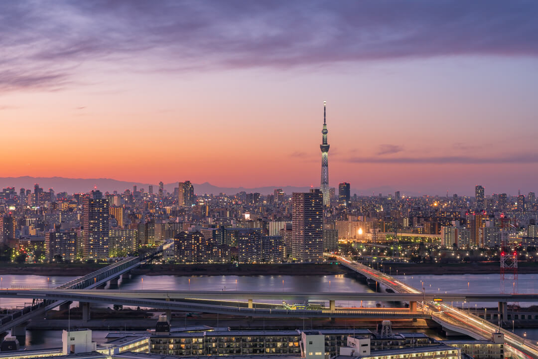 タワーホール船堀展望台から撮影した東京スカイツリーの写真