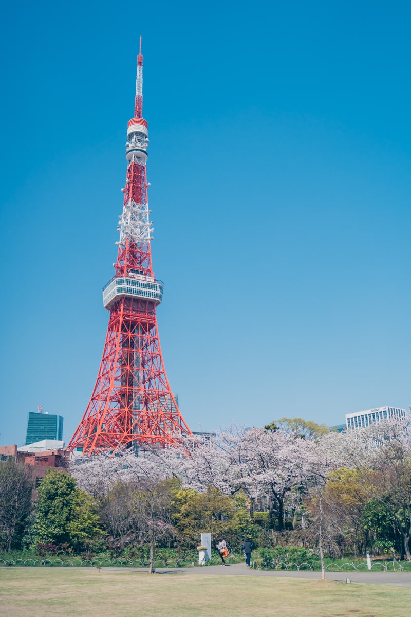 プリンスパークタワー庭園から撮影した東京タワーの写真
