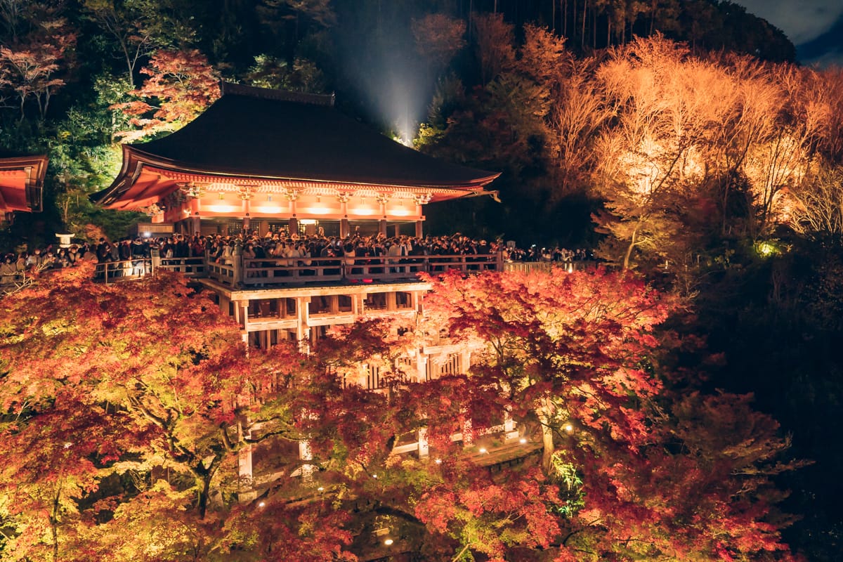 ライトアップされたの清水寺で撮影した紅葉