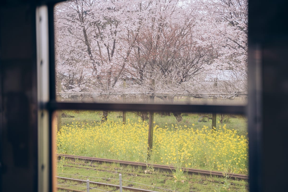 小湊鉄道の車窓の眺め